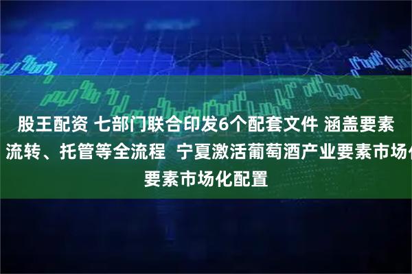 股王配资 七部门联合印发6个配套文件 涵盖要素融资、流转、托管等全流程  宁夏激活葡萄酒产业要素市场化配置