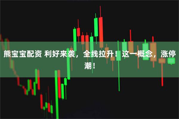 熊宝宝配资 利好来袭，全线拉升！这一概念，涨停潮！